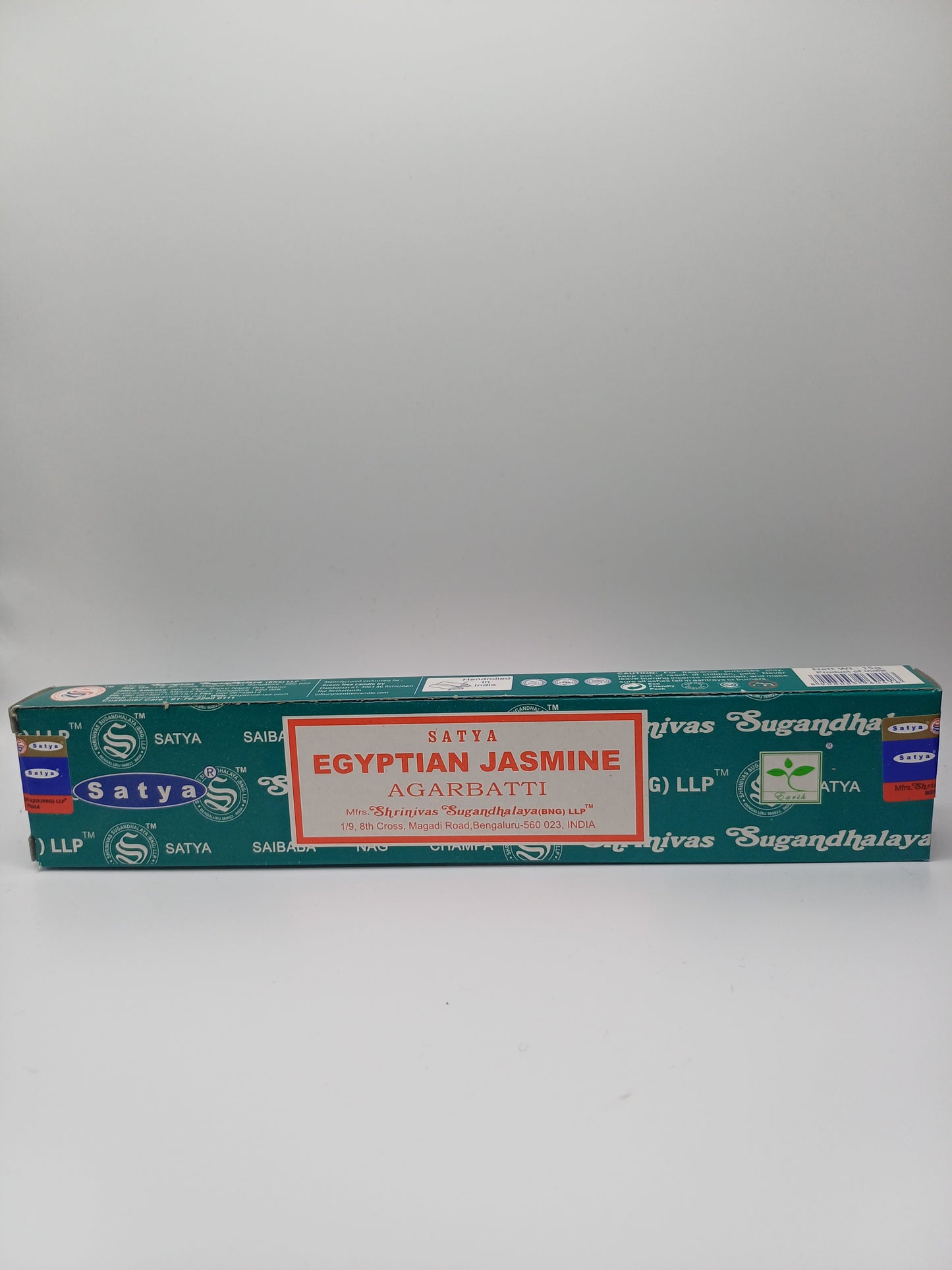 Egyptian Jasmine