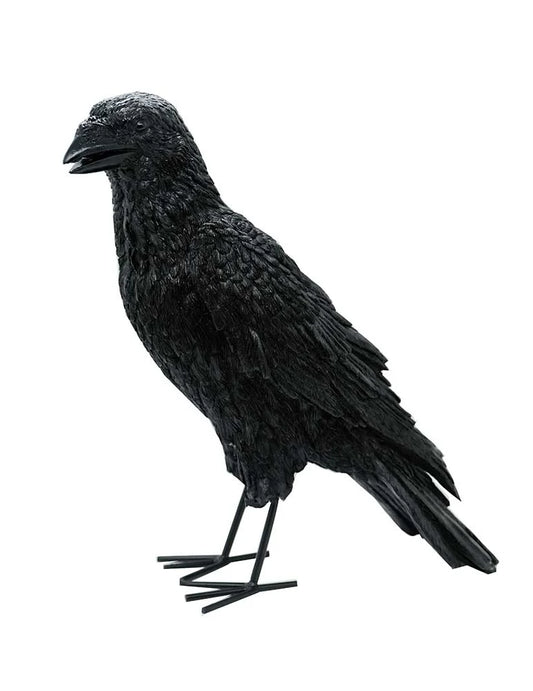 Crow Black 31x14x34cm SKU: X89602