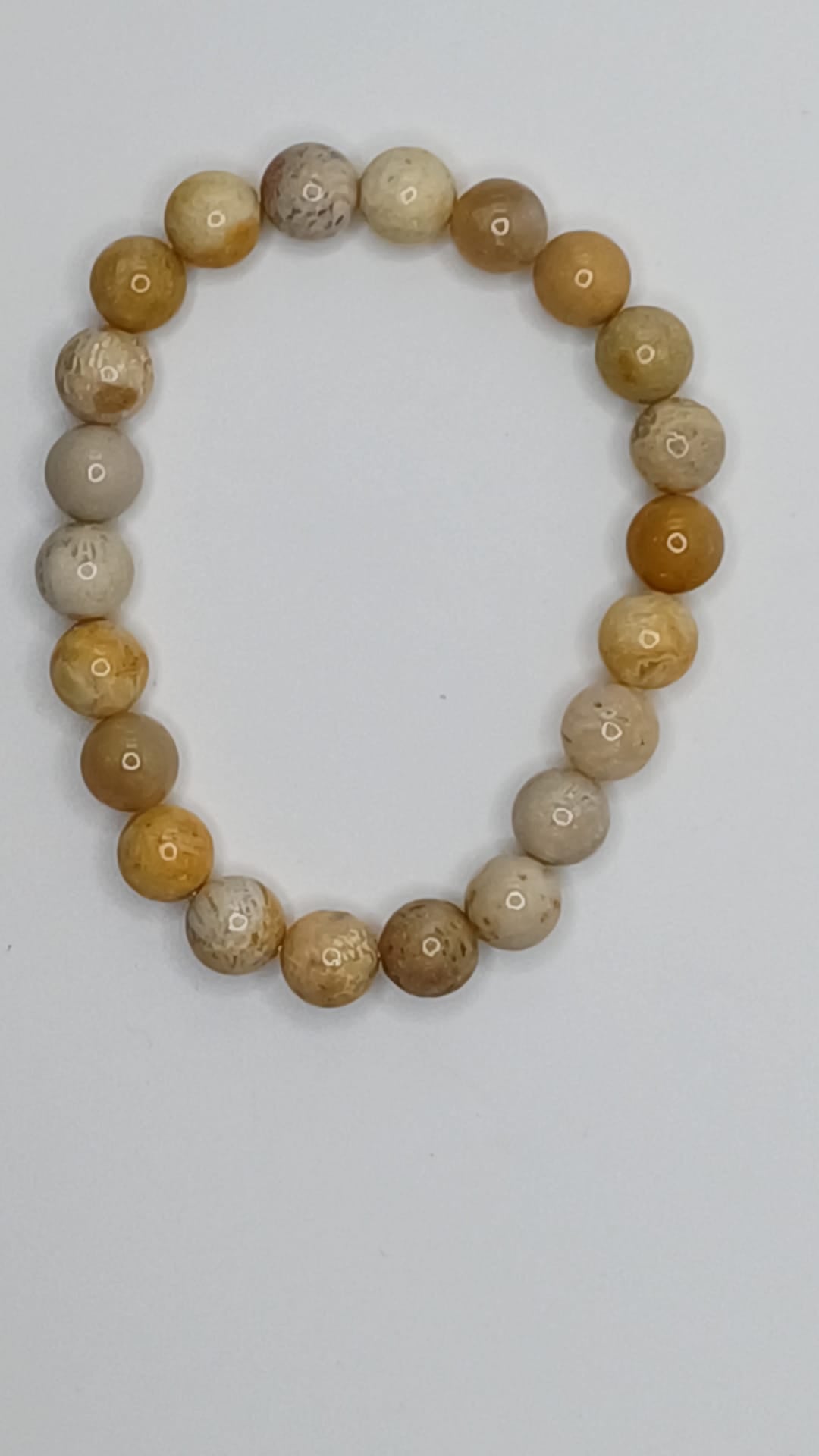 Crystal bead bracelet  fossil coral